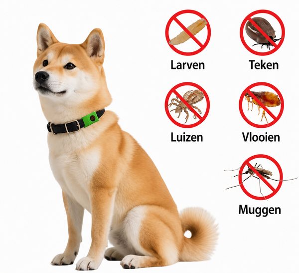 FurSafe 12 maanden set vlooi en ticks vrij