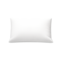 SS - Wellness template AI Image 13